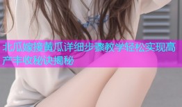 北瓜嫁接黄瓜详细步骤教学轻松实现高产丰收秘诀揭秘