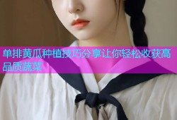单排黄瓜种植技巧分享让你轻松收获高品质蔬菜