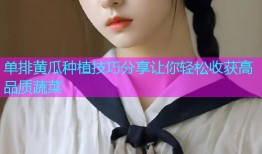 单排黄瓜种植技巧分享让你轻松收获高品质蔬菜