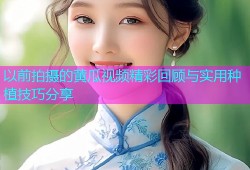以前拍摄的黄瓜视频精彩回顾与实用种植技巧分享