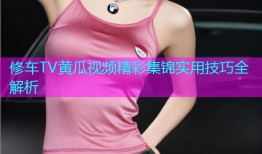 修车TV黄瓜视频精彩集锦实用技巧全解析