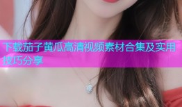 下载茄子黄瓜高清视频素材合集及实用技巧分享