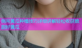 倒吊黄瓜种植技巧详细讲解轻松收获脆甜好黄瓜