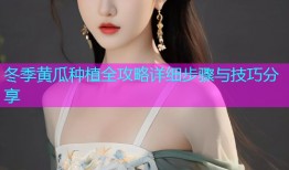 冬季黄瓜种植全攻略详细步骤与技巧分享