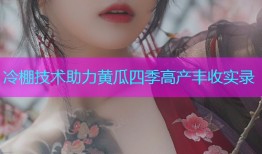 冷棚技术助力黄瓜四季高产丰收实录