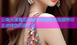 云南元谋黄瓜种植全揭秘精彩视频带你走进绿色田园生活
