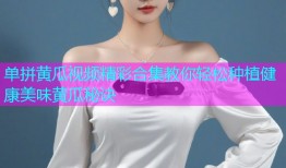 单拼黄瓜视频精彩合集教你轻松种植健康美味黄瓜秘诀