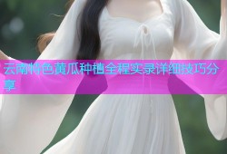 云南特色黄瓜种植全程实录详细技巧分享