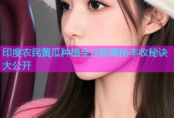 印度农民黄瓜种植全过程揭秘丰收秘诀大公开