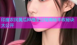 印度农民黄瓜种植全过程揭秘丰收秘诀大公开