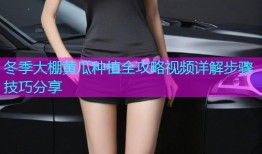 冬季大棚黄瓜种植全攻略视频详解步骤技巧分享