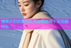 博美犬初尝黄瓜反应超萌趣味十足笑翻网友
