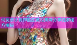 何炅亲手制作酸甜黄瓜美味分享独家秘方揭秘