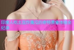 印度人吃土豆炸黄瓜的奇特美食体验全纪录