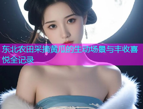 东北农田采摘黄瓜的生动场景与丰收喜悦全记录