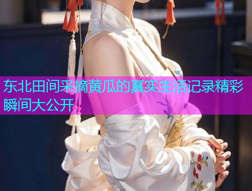 东北田间采摘黄瓜的真实生活记录精彩瞬间大公开
