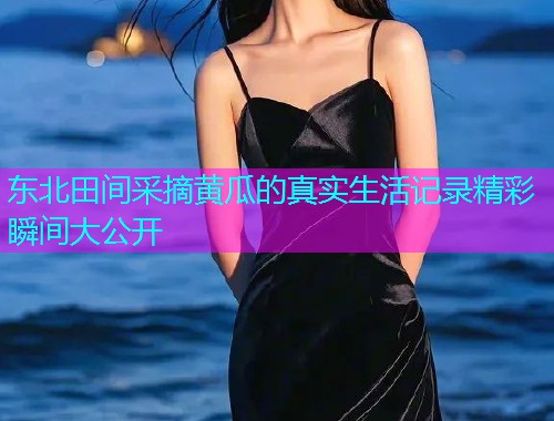 东北田间采摘黄瓜的真实生活记录精彩瞬间大公开