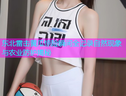 东北雷击黄瓜惊险瞬间全记录自然现象与农业防护揭秘