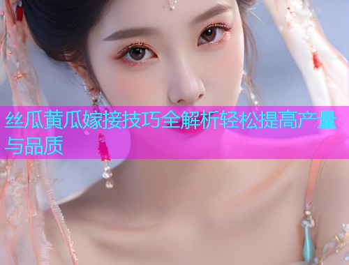 丝瓜黄瓜嫁接技巧全解析轻松提高产量与品质
