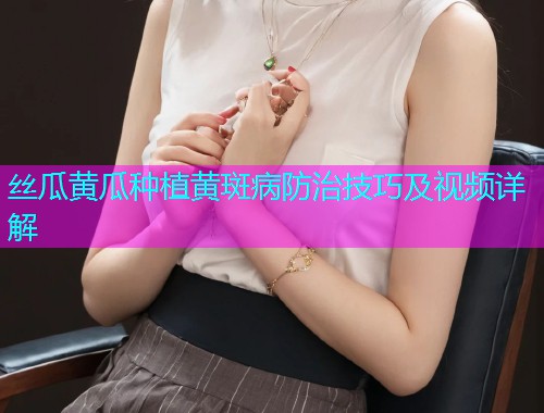 丝瓜黄瓜种植黄斑病防治技巧及视频详解