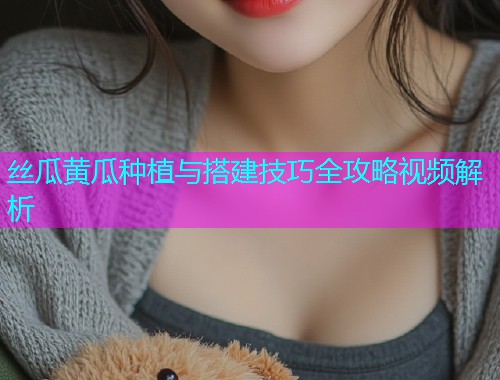 丝瓜黄瓜种植与搭建技巧全攻略视频解析