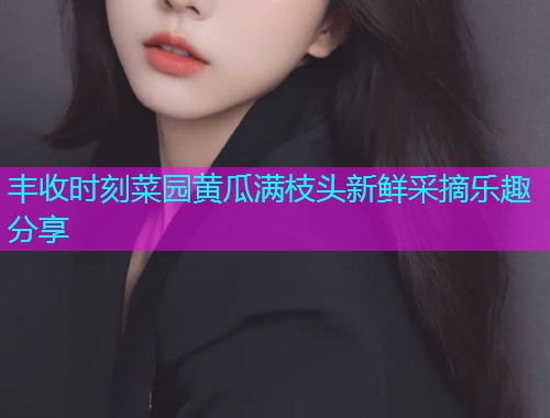 丰收时刻菜园黄瓜满枝头新鲜采摘乐趣分享