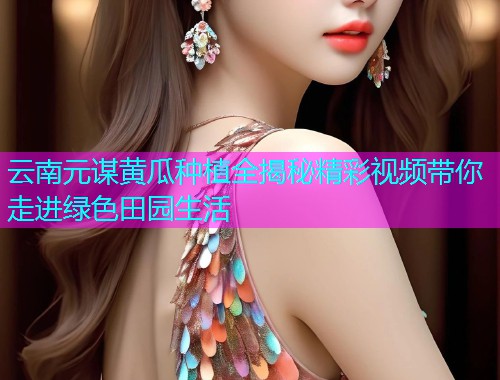 云南元谋黄瓜种植全揭秘精彩视频带你走进绿色田园生活