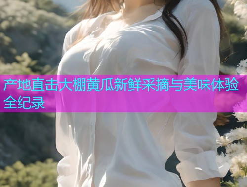 产地直击大棚黄瓜新鲜采摘与美味体验全纪录