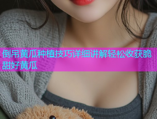 倒吊黄瓜种植技巧详细讲解轻松收获脆甜好黄瓜