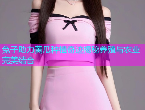 兔子助力黄瓜种植奇迹揭秘养殖与农业完美结合