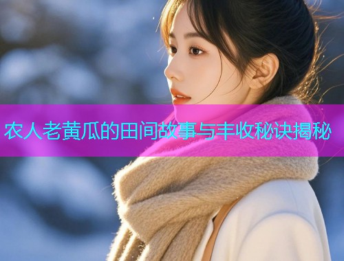 农人老黄瓜的田间故事与丰收秘诀揭秘