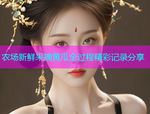 农场新鲜采摘黄瓜全过程精彩记录分享
