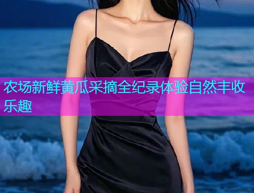 农场新鲜黄瓜采摘全纪录体验自然丰收乐趣