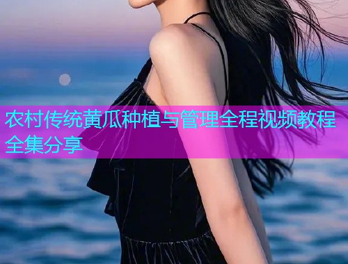 农村传统黄瓜种植与管理全程视频教程全集分享