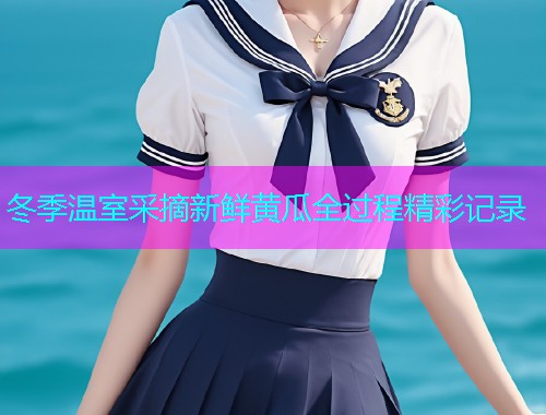冬季温室采摘新鲜黄瓜全过程精彩记录