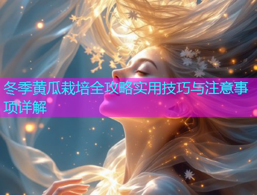冬季黄瓜栽培全攻略实用技巧与注意事项详解