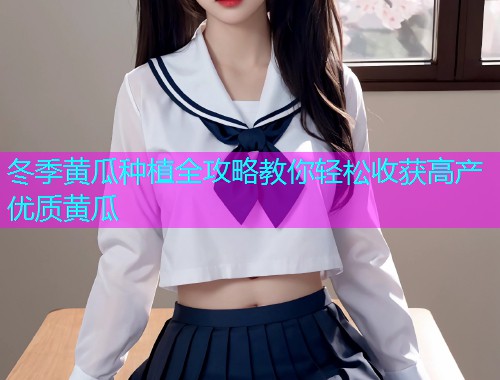 冬季黄瓜种植全攻略教你轻松收获高产优质黄瓜