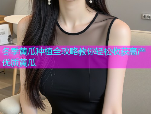 冬季黄瓜种植全攻略教你轻松收获高产优质黄瓜