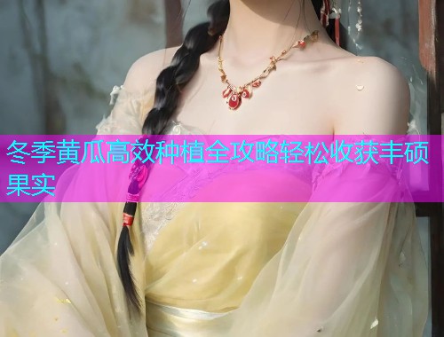 冬季黄瓜高效种植全攻略轻松收获丰硕果实