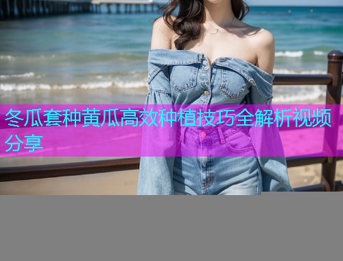 冬瓜套种黄瓜高效种植技巧全解析视频分享