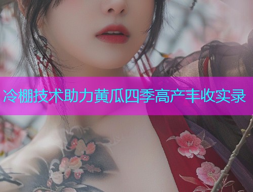 冷棚技术助力黄瓜四季高产丰收实录