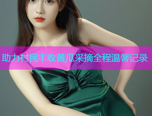 助力村民丰收黄瓜采摘全程温馨记录