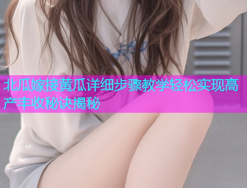 北瓜嫁接黄瓜详细步骤教学轻松实现高产丰收秘诀揭秘