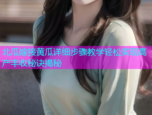 北瓜嫁接黄瓜详细步骤教学轻松实现高产丰收秘诀揭秘
