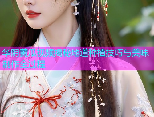 华阴黄瓜视频揭秘地道种植技巧与美味制作全过程