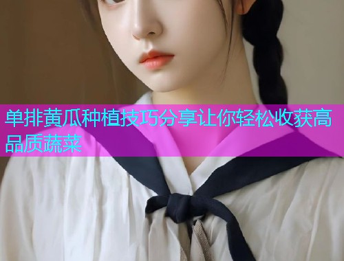 单排黄瓜种植技巧分享让你轻松收获高品质蔬菜