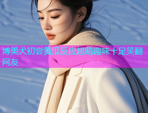 博美犬初尝黄瓜反应超萌趣味十足笑翻网友