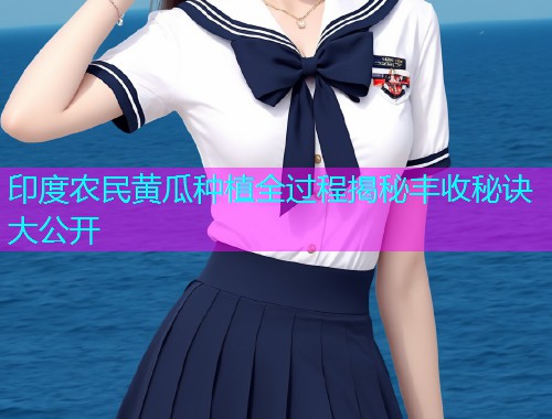 印度农民黄瓜种植全过程揭秘丰收秘诀大公开